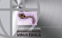 International Summit Nursing and Ebola Virus