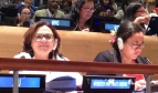 Juneia Batista represented the PSI Women’s Committee at the UN OWG8 meeting