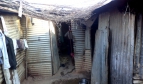 Shack used as housing for Indian metro workers 
