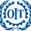 Logo OIT